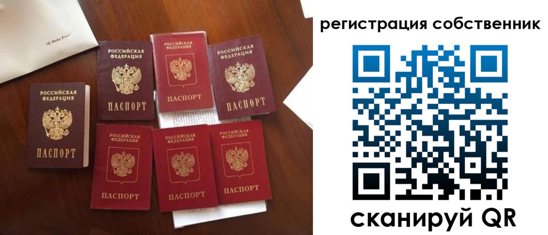 найти адрес прописки в Брянске